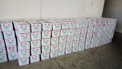 卓逸鋁業公司給員工夏日送清涼